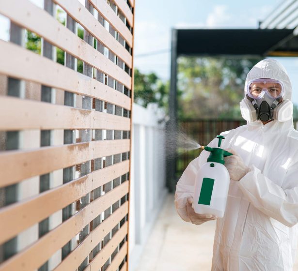 Commercial Pest Control Solutions for Lakeland Businesses