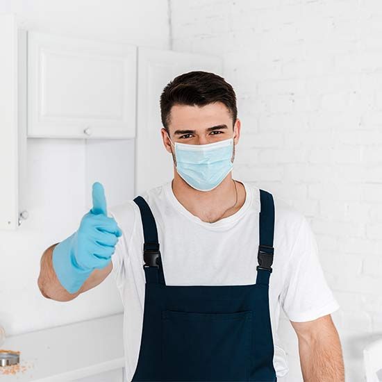 Local Pest Control Company Serving Lakeland, Florida​