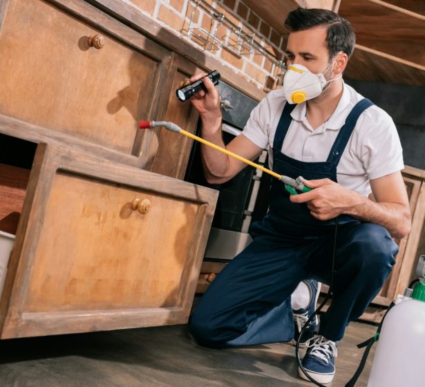 Pest Control Residential Services in Lakeland FL